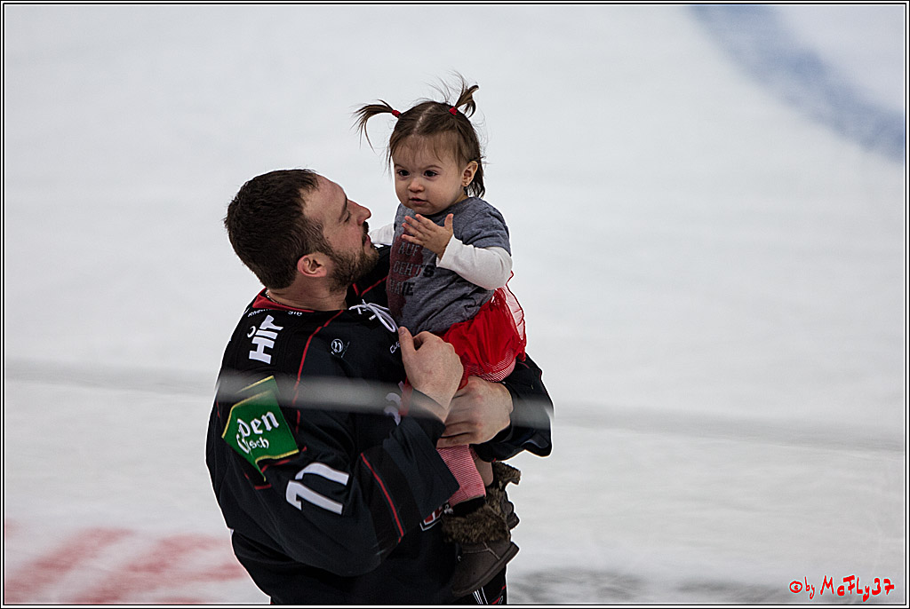 Koelner Haie - Schwenninger Wild Wings, 11.12.2016